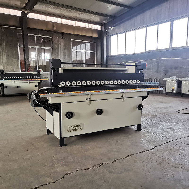 PM60D 1 Borstelmachine voor het slijpen en polijsten van hout met een werkdikte van 5-100 mm